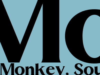 Monkey Research At South Carolina Primate Center Sparks Debate